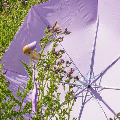 Orijinal Duckhead Duck Kompakt Şemsiye -Lila