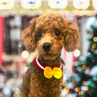 Cat / Dog Christmas Accessories