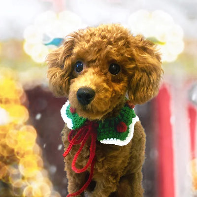 Cat / Dog Christmas Accessories