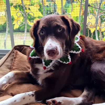 Cat / Dog Christmas Accessories