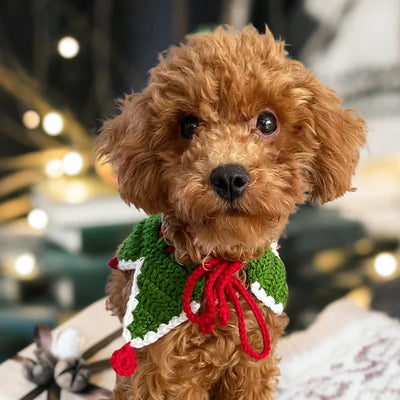 Cat / Dog Christmas Accessories