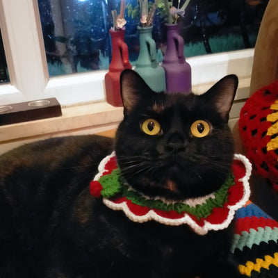 Cat / Dog Christmas Accessories