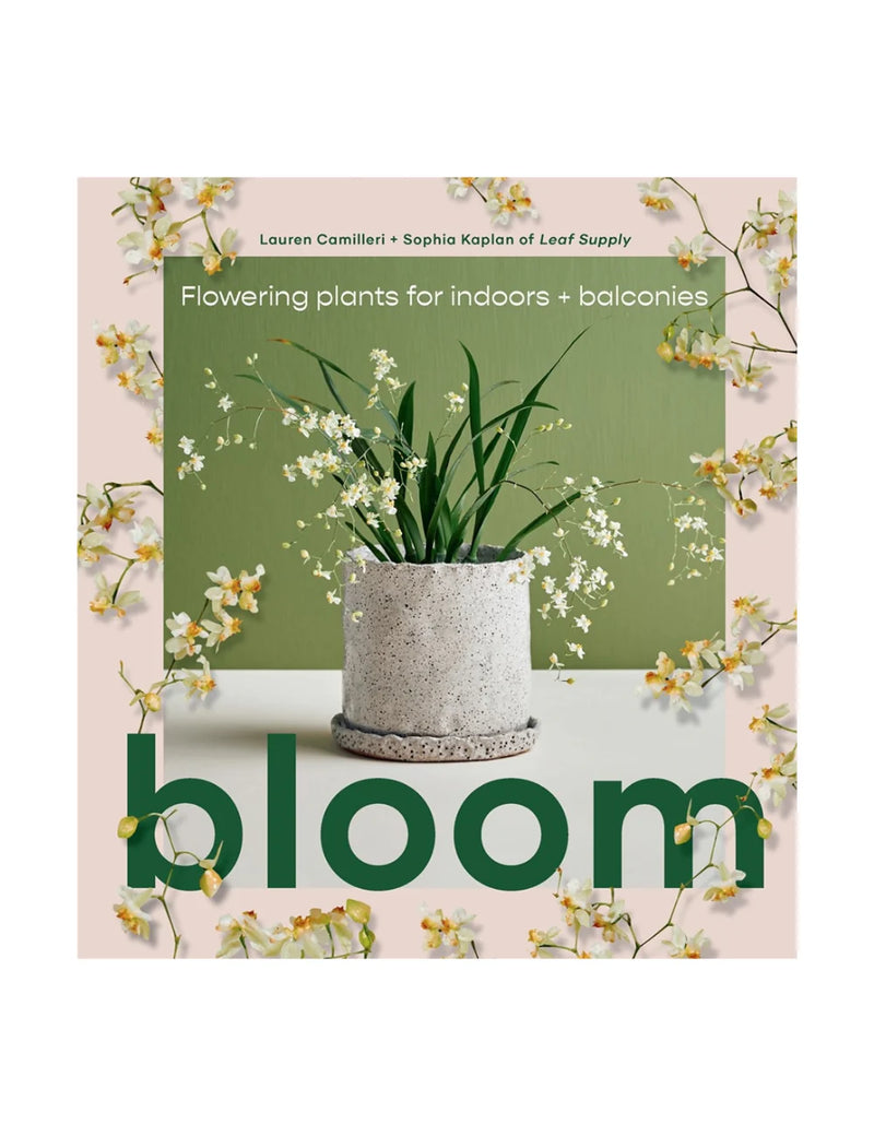 Bloom: Flowering plants for indoors and balconies