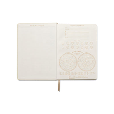 DesignWorks Ink Jumbo Journal Suedette Notebook - Matisse