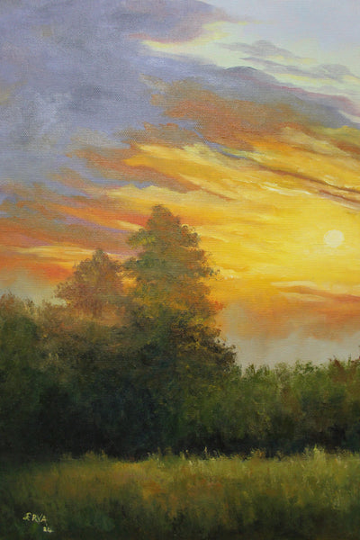 Nature No.6