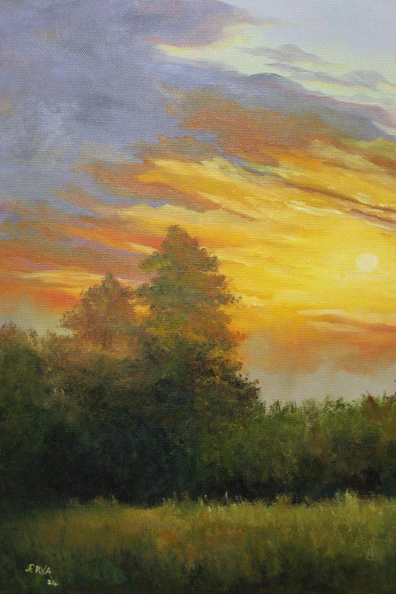 Nature No.6