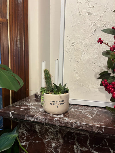 Stay At Home Plant Parent Pot with Plants