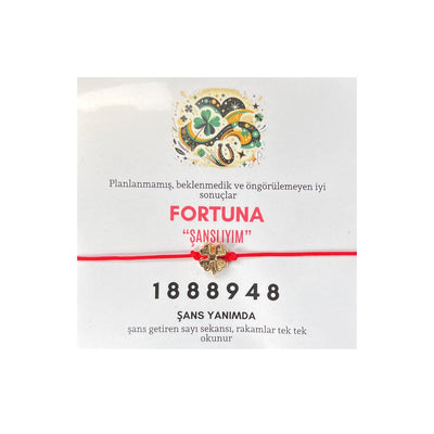 Increase Your Luck: Fortuna Sequence Bracelet and Magnet