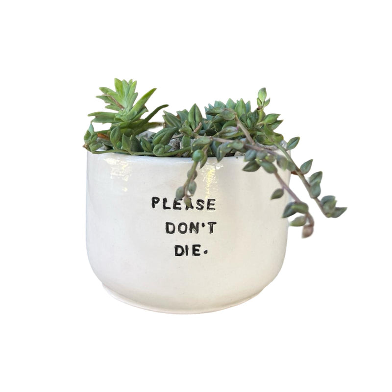 Lütfen Bitkilerle Saksıda Ölmeyin