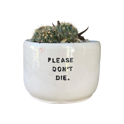 Please Don't Die Pot with Plants