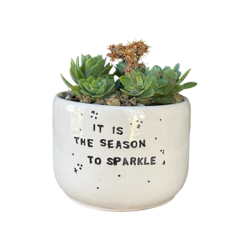 It Is The Season To Sparkle  Pot with Plants