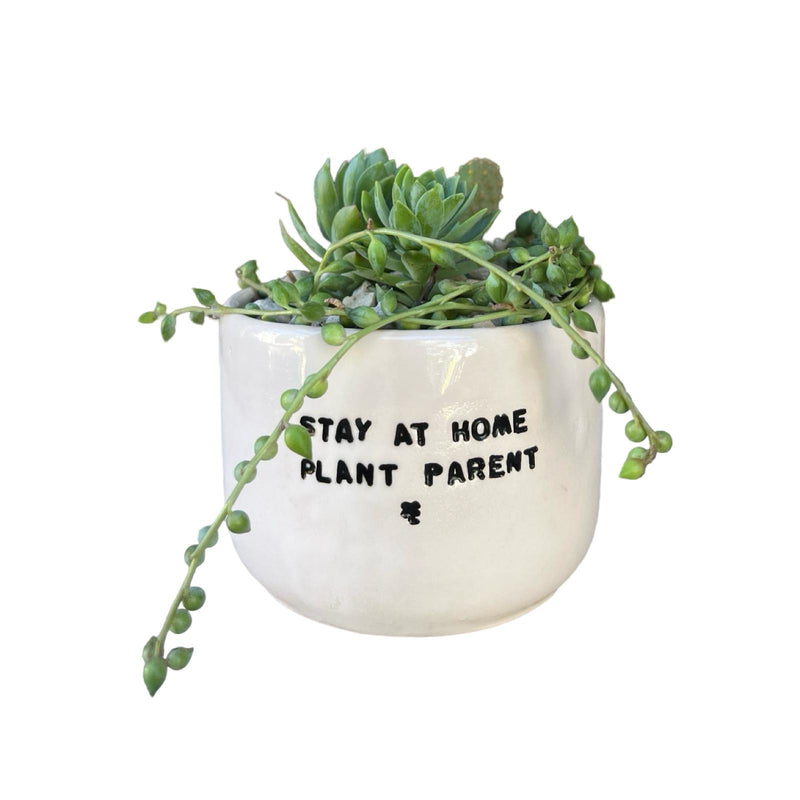 Stay At Home Plant Parent Pot with Plants