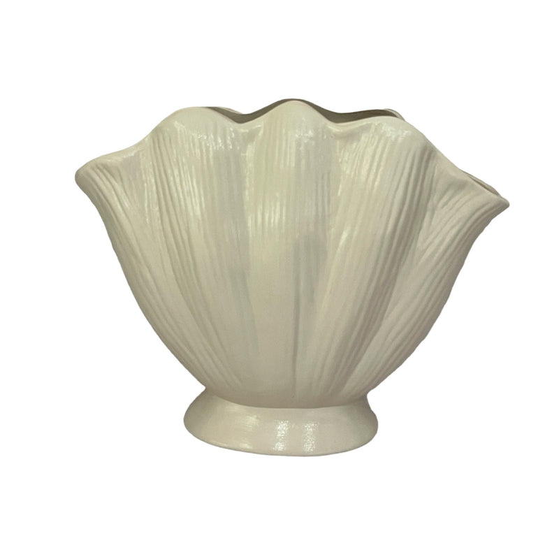 Seashell Vase