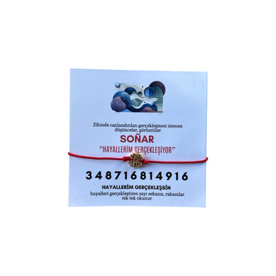 Make Your Dreams Come True: Sonar Dream-Making Number Sequence Bracelet and Magnet