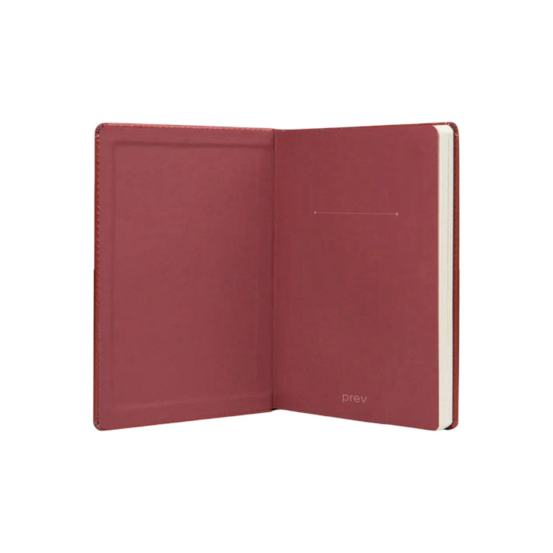 Bullet Journal Spark