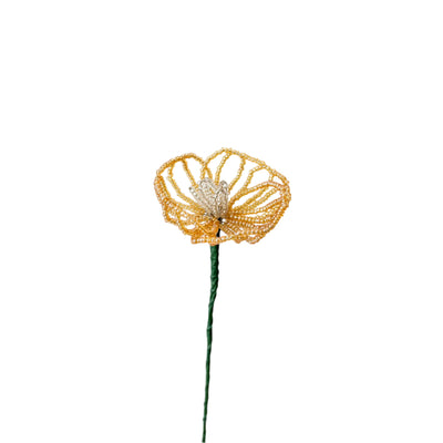#color_honey