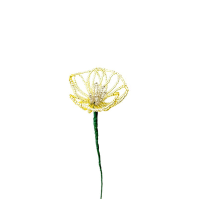 #color_yellow