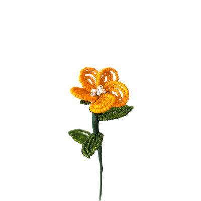 #color_light-orange