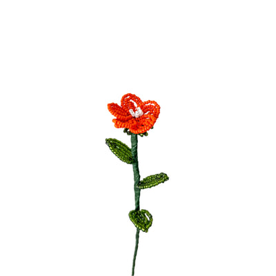 #color_dark-orange