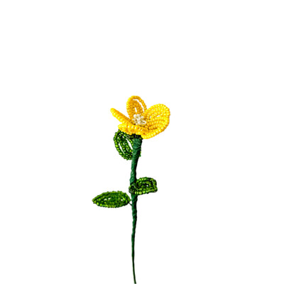 #color_yellow