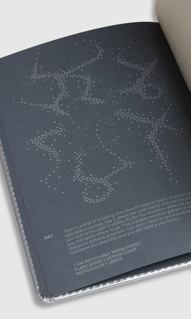 Bullet Journal Ray