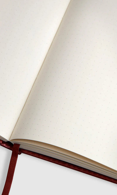 Bullet Journal Spark