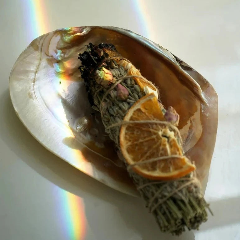 Seashell Incense Holder