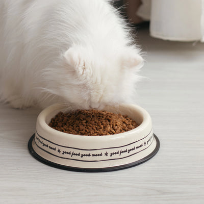 Cat/Dog Food Bowl Mood