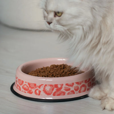 Cat/Dog Food Bowl Savage Pink