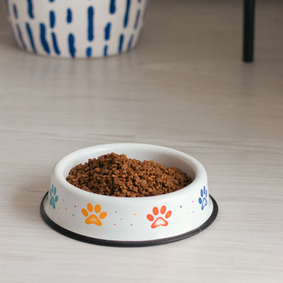 Cat/Dog Food Bowl Rainbow Paw