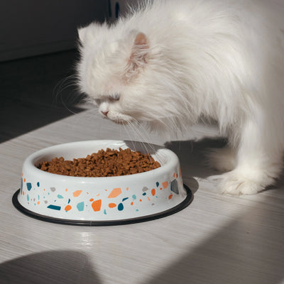 Cat/Dog Food Bowl Terazzo