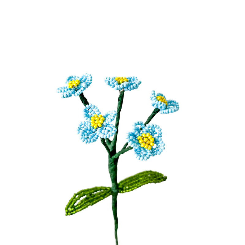Forget Me Not Flower