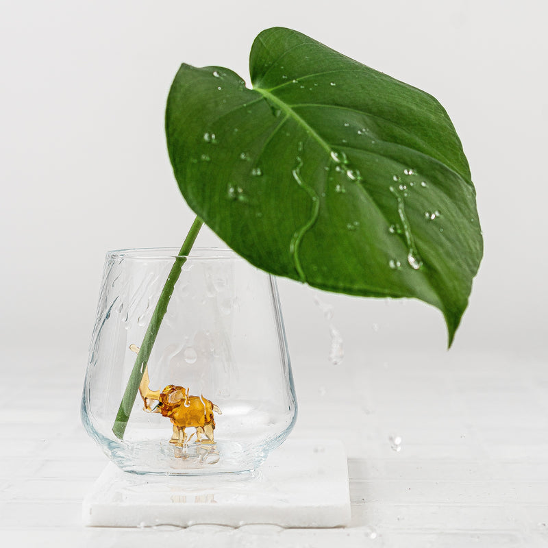 Elephant Glass Water Cup