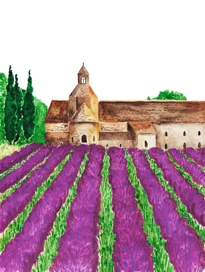 Provence Art Print